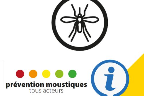 Prévention : empêcher le développement des moustiques