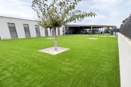 Nouvelle pelouse à l’École Simone Peretti