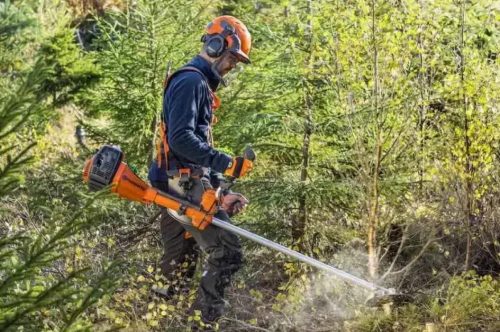 OPERATA PEDANIOLE – Appel à volontaires