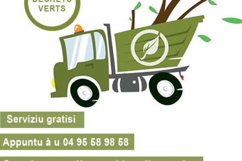 Collecte des déchets verts